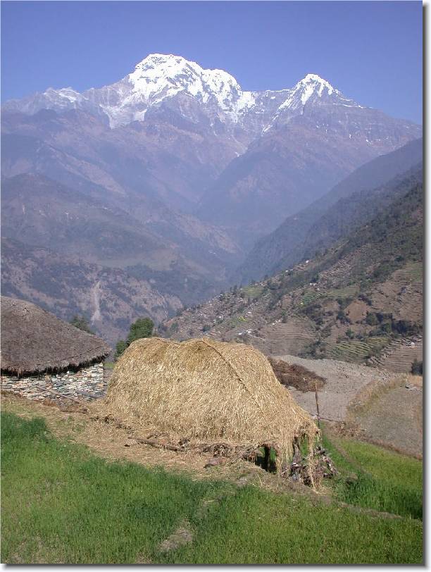 Click for the original image